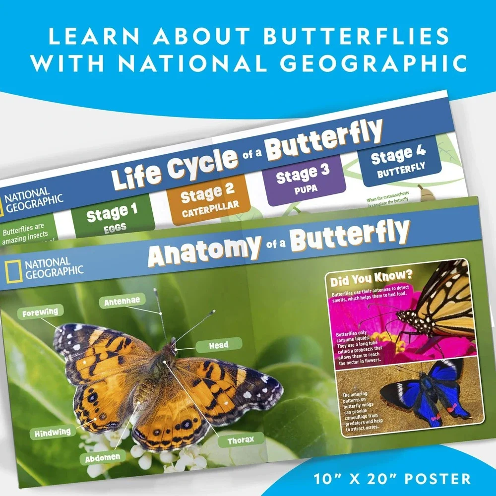National Geographic Butterfly‎ Growing Kit Feed & Grow Real Caterpillars Habitat